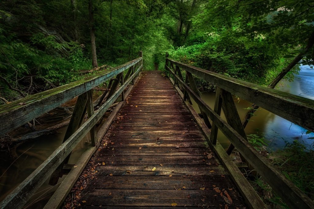 Merchant Service Provider - picture of a bridge in the woods